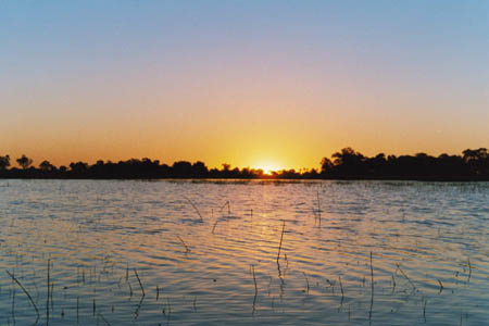 okavonga_5