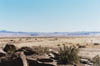 desert