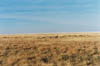 etosha_1