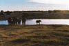 etosha_3