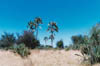 okavonga_6