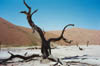 sossusvlei_2
